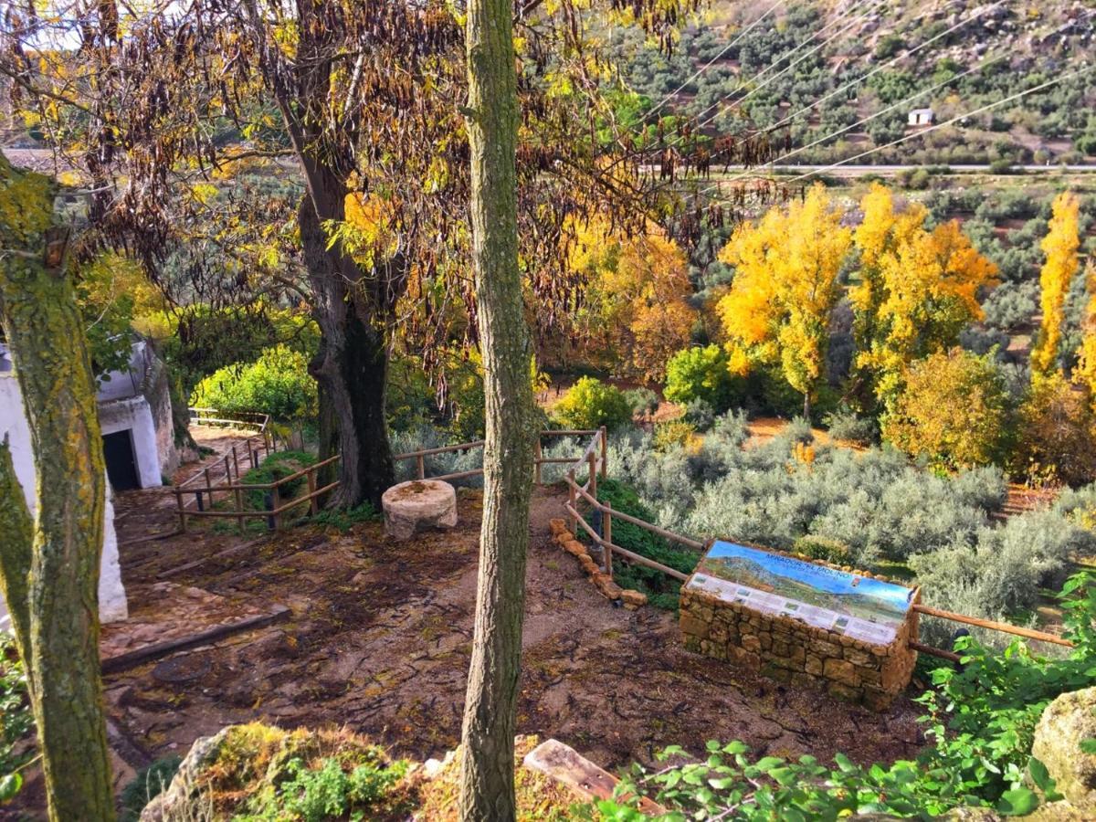 Dolores * Cuevas del Becerro
