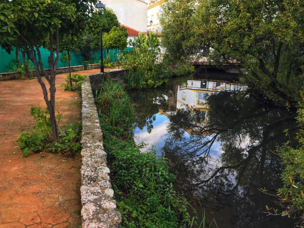 Dolores Holiday home Cuevas del Becerro